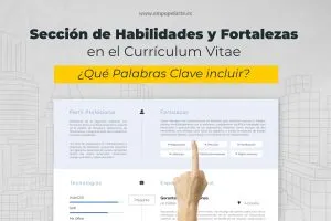 Seccion de Habilidades y Fortalezas en el Curriculum