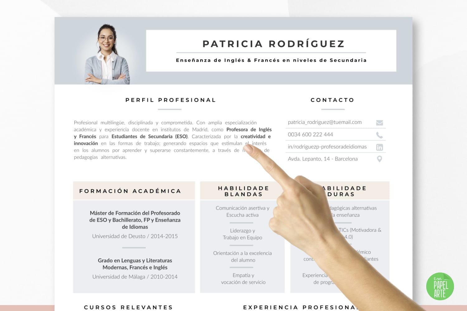 perfil profesional curriculum secundaria profesor